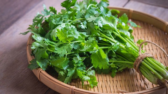Loại rau gia vị giúp tăng sinh collagen, ở Việt Nam luôn sẵn - Ảnh 1.