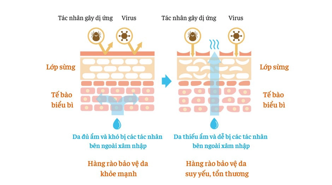 Sau tuổi 30, chị em dễ mắc phải một lỗi sai khi skincare khiến da bị &quot;bức tử&quot; - Ảnh 2.