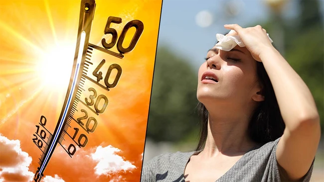 Sốc nhiệt ngày nắng nóng dễ gây đột quỵ, tử vong: Hãy học cách phòng tránh theo khuyến nghị của WHO - Ảnh 4.