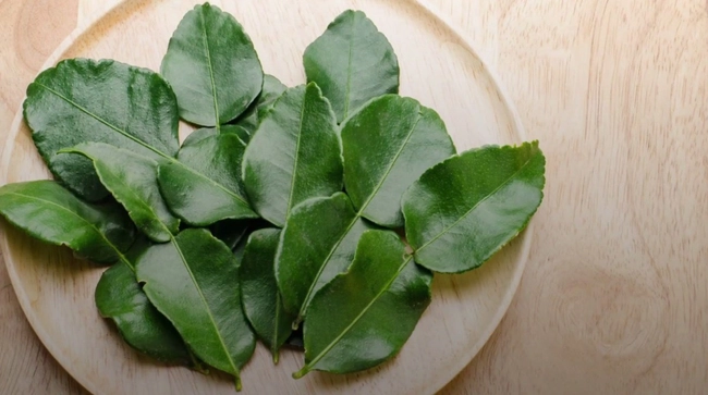 Loại lá giàu chất chống oxy hóa, giúp trẻ lâu và chống ung thư, ăn thịt gà không bao giờ thiếu nhưng ít người thích - Ảnh 3. Loại lá giàu chất chống oxy hóa, giúp trẻ lâu và chống ung thư, ăn thịt gà không bao giờ thiếu nhưng ít người thích - Ảnh 3.