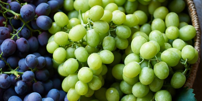 Điều gì xảy ra khi bạn ăn 5 quả nho mỗi sáng khi bụng đói? - Ảnh 4. Điều gì xảy ra khi bạn ăn 5 quả nho mỗi sáng khi bụng đói? - Ảnh 4.