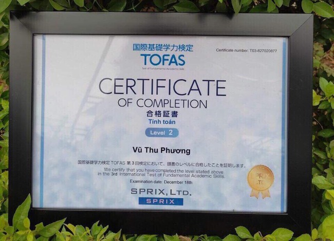 TOFAS - Cuộc thi đánh giá năng lực Toán toàn cầu chính thức có mặt tại Việt Nam - Ảnh 2. TOFAS - Cuộc thi đánh giá năng lực Toán toàn cầu chính thức có mặt tại Việt Nam - Ảnh 2.
