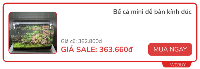 4 kiểu đồ trang trí hút tài lộc, may mắn trong năm Giáp Thìn, nhiều món đang sale chỉ còn từ 27.000đ - Ảnh 6.