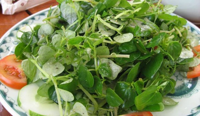 Rau này là "thuốc hạ đường huyết tự nhiên", chứa chất tiêu diệt tế bào ung thư: Dù giá đắt hơn thịt vẫn nên mua - Ảnh 1. Rau này là "thuốc hạ đường huyết tự nhiên", chứa chất tiêu diệt tế bào ung thư: Dù giá đắt hơn thịt vẫn nên mua - Ảnh 1.