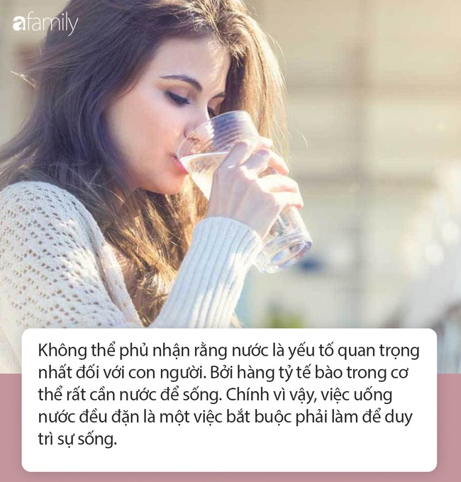 Không nhất thiết phải cố uống 2 lít nước mỗi ngày, chỉ cần nắm rõ bản chất này thì dù uống nước ít nhưng cơ thể vẫn khỏe mạnh như thường - Ảnh 1.