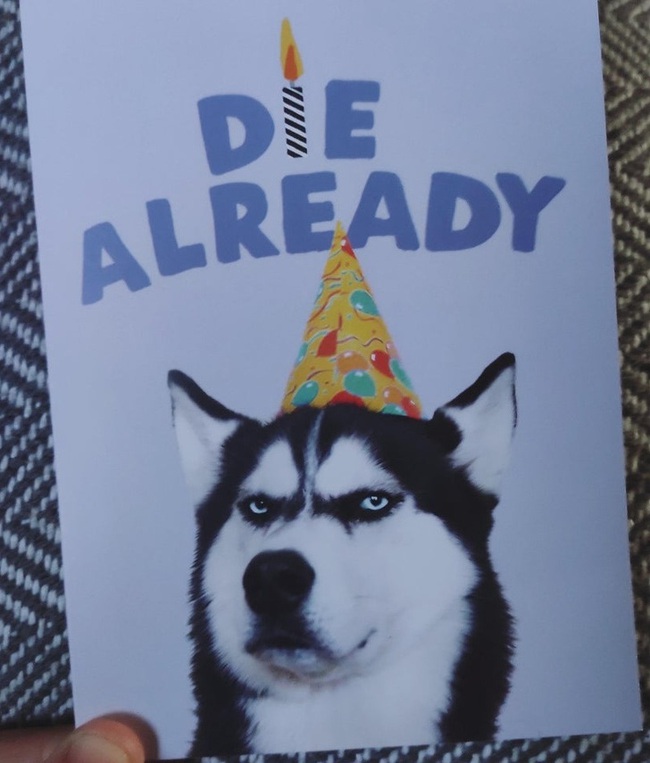 Chùm ảnh chứng minh nhà lúc nào cũng vui như Tết kể từ khi có con theo lời kể của các bố mẹ - Ảnh 7.