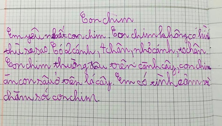 Học sinh tiểu học viết văn kể em yêu nhất con chim, nhưng đọc đến câu thứ 2 dân tình cười ná thở: Chết thật, con chim này chắc bị đột biến - Ảnh 1.