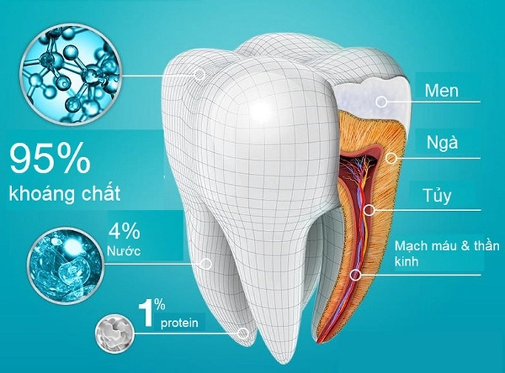 Câu đố tiếng Việt: Cái gì CỨNG nhất trên cơ thể người? Trả lời XƯƠNG trật lất, nghe đáp án mà tiếc hùi hụi - Ảnh 2.