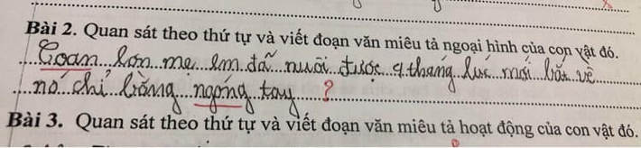Học sinh viết câu văn miêu tả CON LỢN, đọc đến hai từ cuối mà cô giáo cười sắp xỉu: Trời, con lợn này chắc ĐỘT BIẾN - Ảnh 1.