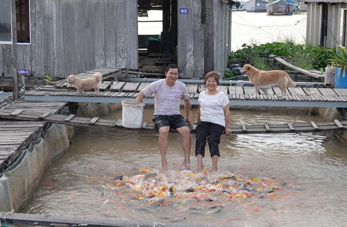 Lão nông bạc tỷ và bí quyết thành công khi đội 