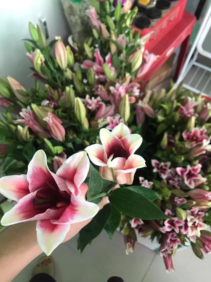 6 KHÔNG khi mua hoa Tết, bà nội trợ Việt phải chú ý để chọn được hoa vừa rẻ đẹp lại lâu tàn - Ảnh 7.