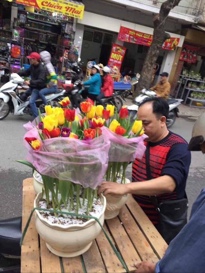 6 KHÔNG khi mua hoa Tết, bà nội trợ Việt phải chú ý để chọn được hoa vừa rẻ đẹp lại lâu tàn - Ảnh 2.